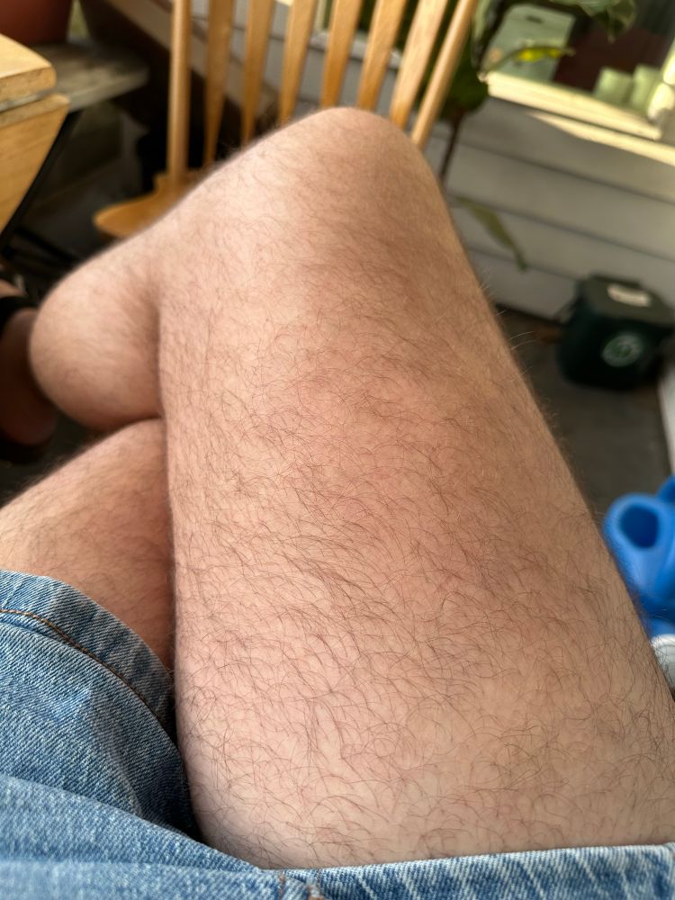 A picture of ML’s hairy, denim clad thighs 
