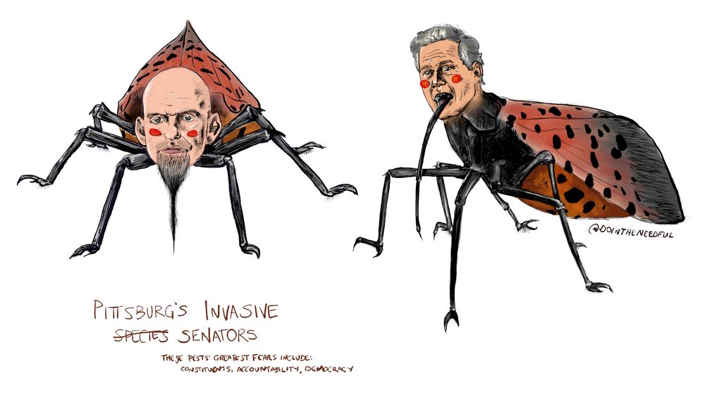 Illustration of Senators John Fetterman and Dave McCormick as Spotted Lanternflies. 

Text below reads: 
Pittsburg's Invasive Species (crossed out) Senators
These pests' greatest fears include: constituents, accountability, democracy 
