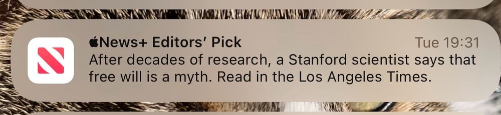 Headline declares free will is a myth and I call bullshit.