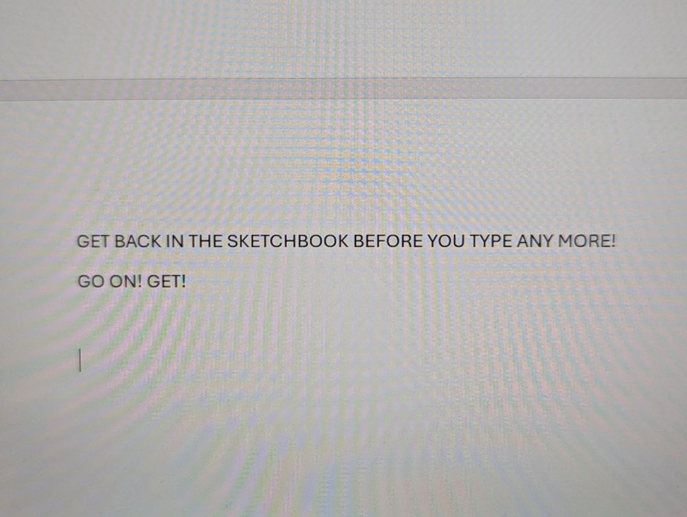 A word document on a computer screen that says GET BACK IN THE SKETCHBOOK BEFORE YOU TYPE ANY MORE! GO ON! GET!