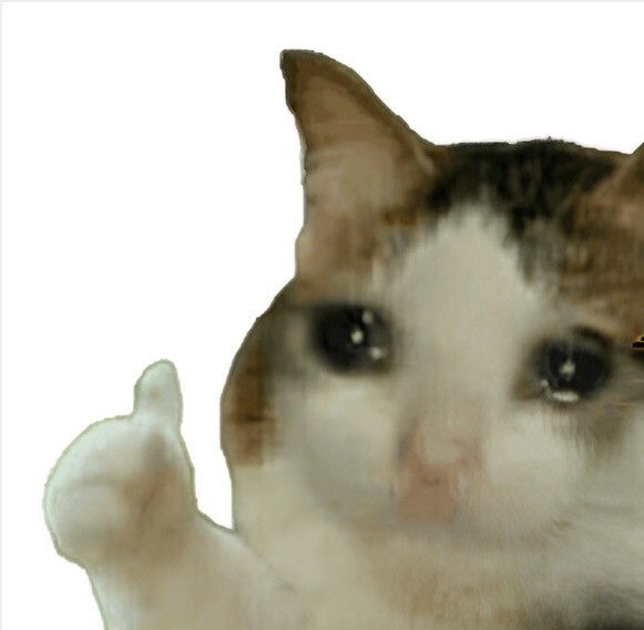 Cute cat holding a thumbs up while being on the verge of tears.