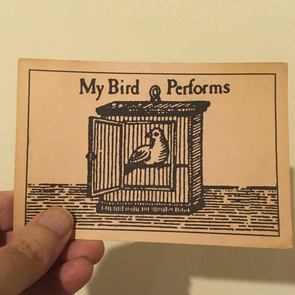 Postcard from The Skylarks planetary gig back in 1992 that is beige with an engraving image of a bird in a cage nicked from XTC’s “Nonsuch” album art that says: “My Bird Performs.”