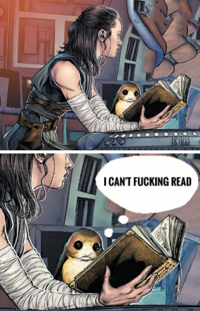 A two panel comic from the Star Wars Sequel Trilogy. The first panel is Rey, holding open a Jedi text with a porg beside her. The second panel is the porg looking into the book and thinking, "I can't fucking read"