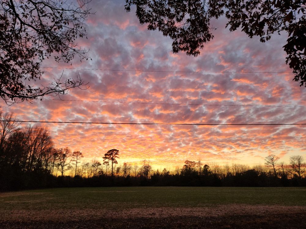 Photograph of a sunset seen across a newly harvested field. Black silhouettes of trees stand against the sky on the opposite side of the field. The sky is full of little clouds reflecting the colors of sunset in pinks and purples and oranges.