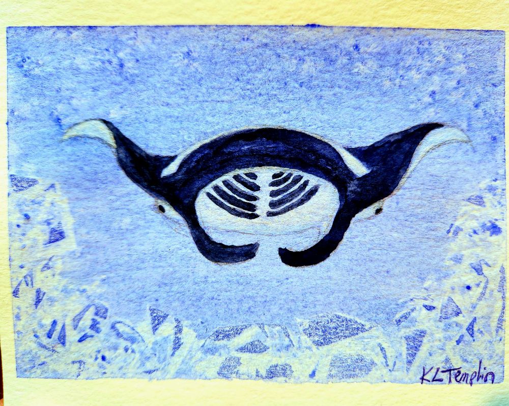 a watercolor painting of a blue ocean with a manta ray coming directly towards the viewer. You can see into it's open mouth and view the gills. it's fins/wings are graceful, slightly recurved to either side. a texture experiment made a sharp jumble of rocks beneath it, all in shades of blue.