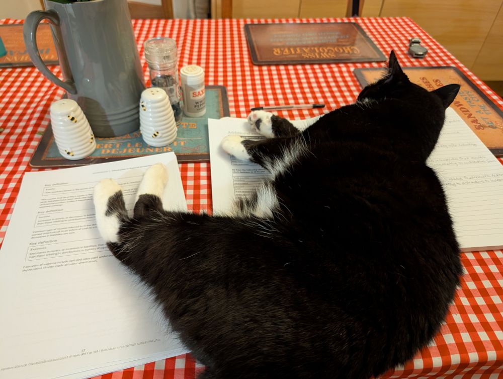 A black and white cat plonks himself down on my accountancy textbooks.