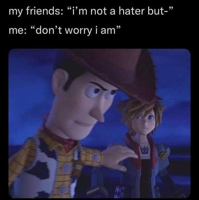 Meme com Woody (Toy Story; boneco de cowboy com corpo de pano e cabeça de plástico de rosto alongado) com expressão séria estendendo o braço para o lado, gesticulando para Sora (Kingdom Hearts; jovem de cabelo espetado e roupas modernas com toques de fantasia) manter distância e deixar que ele cuide da situação. 

Texto do meme: 
"Meus amigos: eu não sou um hater, mas…
Eu: não se preocupe, eu sou."