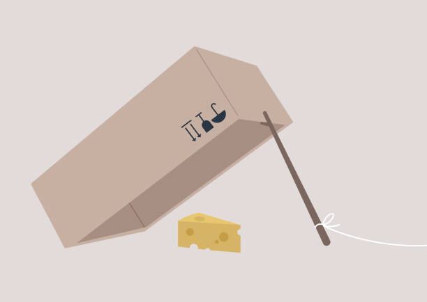 box and stick trap with some cheese 