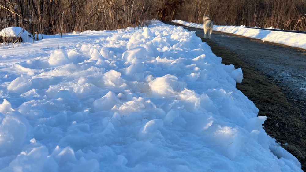 Setting sun lights up the melting snow making it look like the tops of clouds from an airplane 
