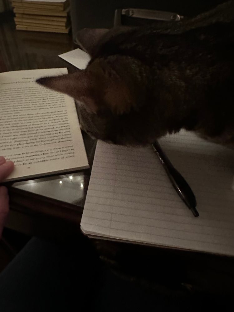 A photo of my cat whose head is right in the way of my notebook and a book I am trying to read.