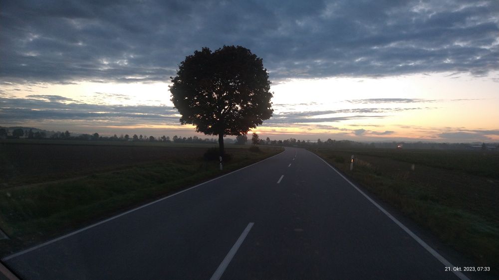 Eine Straße im Vordergrund. Fahre dem Sonnenaufgang entgegen. Links und rechts Felder und ein Baum mit Kugelkrone. Beginnender Sonnenaufgang mit einigen Wolken.