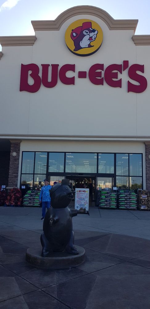 Outside world famous Buc-Ee's, a life sized statue of the Beaver himself.