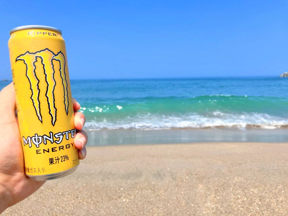 種差海岸のビーチ
人が居なくて貸切状態だった♪
(色彩編集済み)