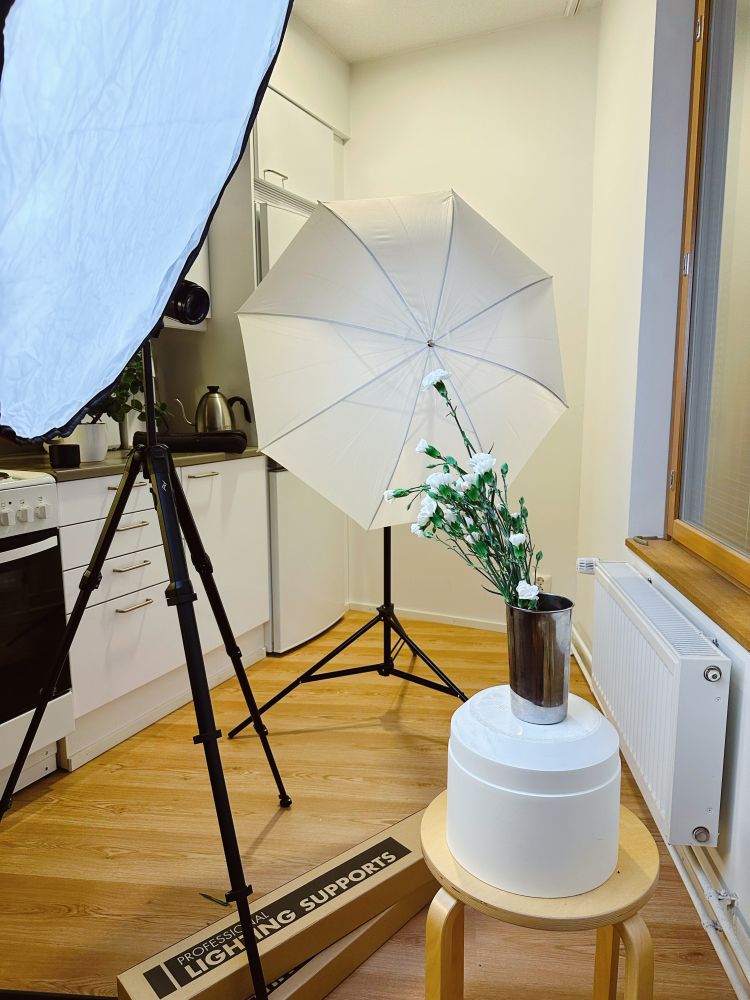 Two lighting stands, one with a softbox and one with an umbrella, and a tripod with the camera between them. On top of a stool is a flowerpot turned upside down, with a bunch of carnations sitting in the metal container that came with my immersion blender. Photography is all about creatively making things work 😄