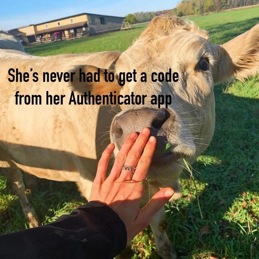 photo of a cow getting booped on the nose by the hand of a woman. you are seeing the cow from the woman's perspective. there's text that says "She's never had to get a code from her Authenticator app"