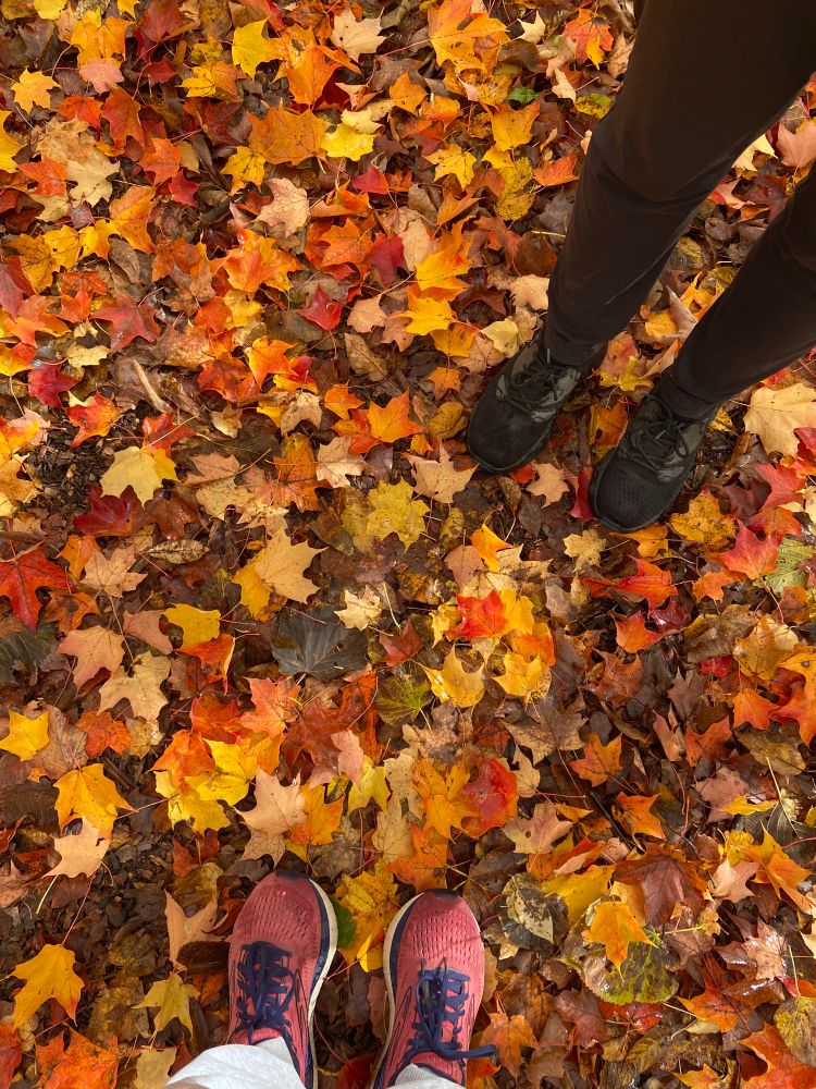Two pairs of shoes in a vibrant leafy bed. Their occupants enjoying the season. 