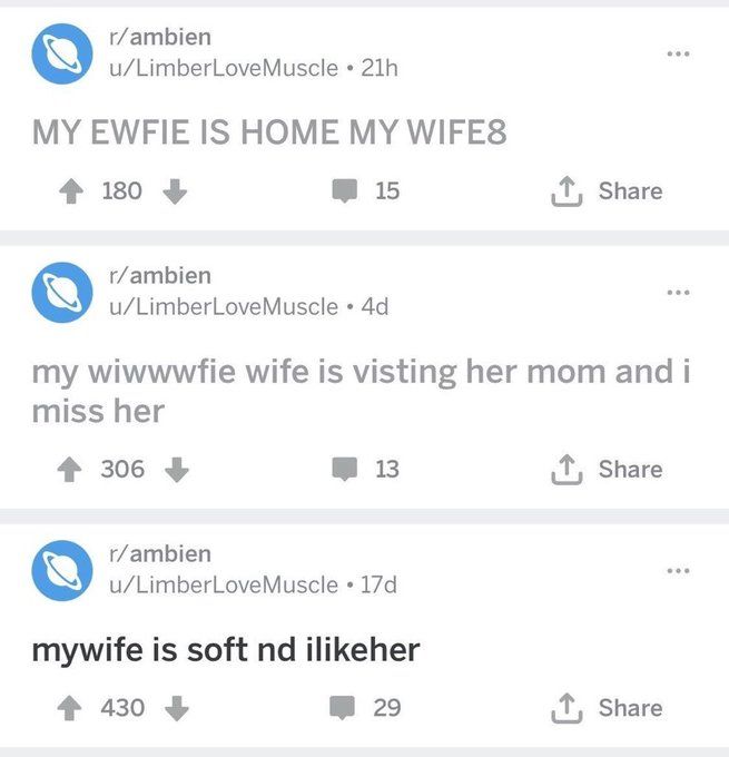 a series of reddit posts. from bottom to top (oldest to recent) :
mywife is soft nd ilikeher
my wiwwwfie wife is visting her mom and i miss her
MY EWFIE IS HOME MY WIFE8