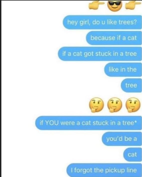 text messages, all from sender

👉😎👉
hey girl, do u like trees?
because if a cat
if a cat got stuck in a tree
like in the
tree
🤔🤔🤔
if YOU were a cat stuck in a tree*
you'd be a
cat
I forgot the pickup line