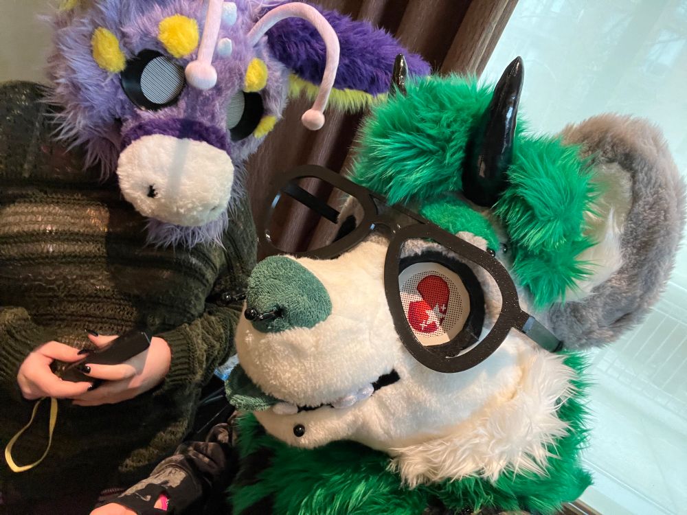 A selfie of two people wearing fursuit heads. On the left is a purple dutch angel dragon with yellow and white markings and pink antennae. On the right is a gray wolf with green hair, black horns, and glasses.