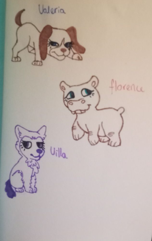 up to down:
Valeria, beagle
Florence, hippo
Villa, husky