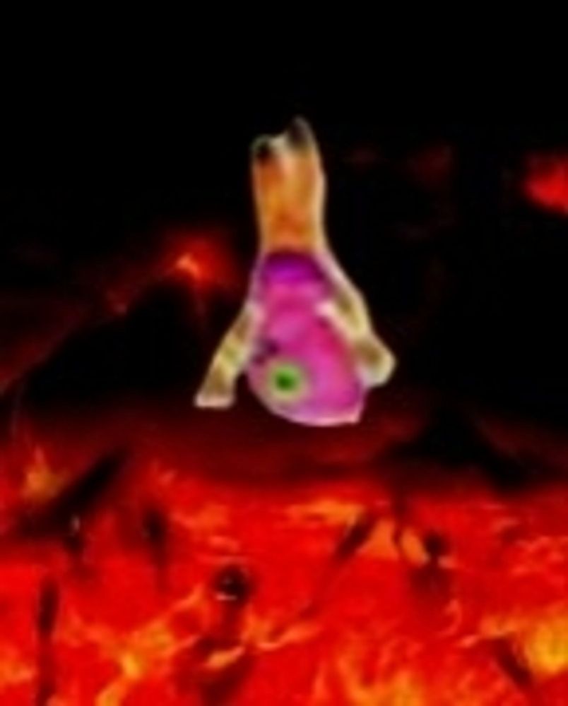 Comment image