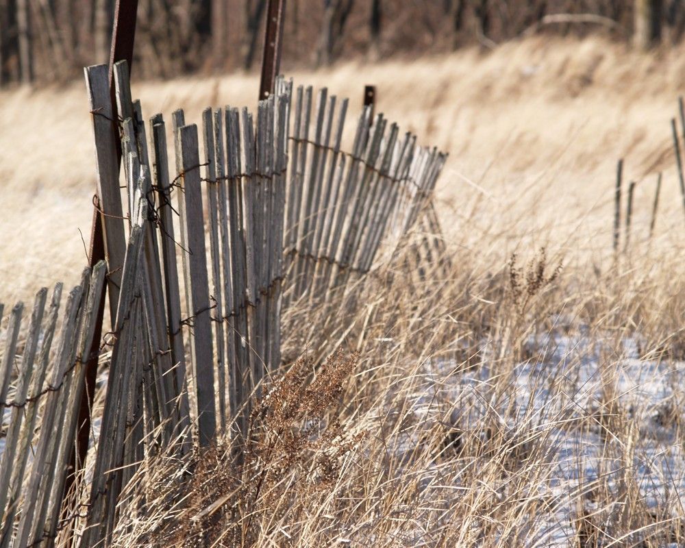 a wobbly snow fence of wooden slats holding the sand in place in the grassy area at the top of a wild beach
