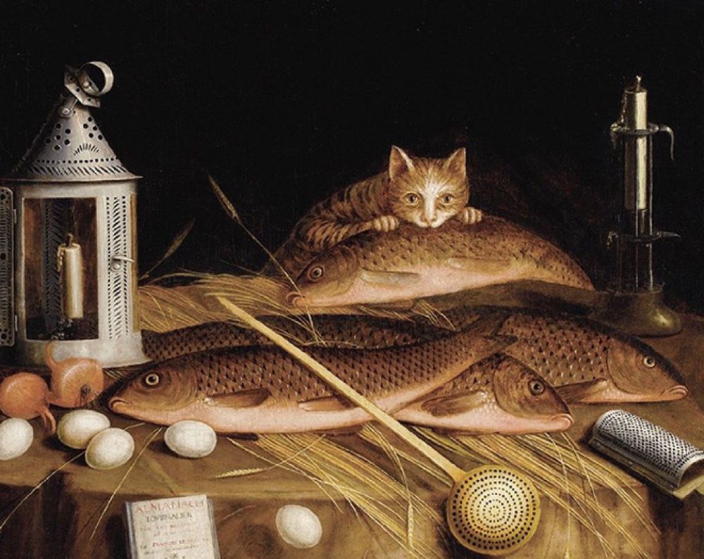 Kitchen Still Life With Fish And Cat by Sebastian Stoskopff, 1650. The cat is making hard eye contact with the viewer while stealing a fish which is bigger than he is. 
