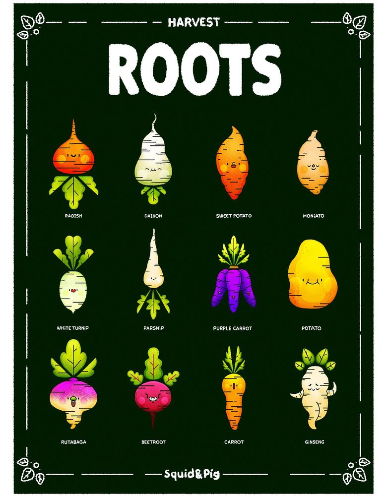 Harvest Roots © Squid&Pig
