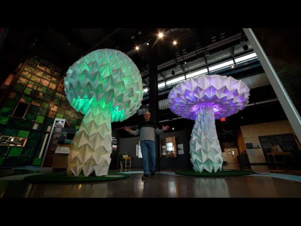 Fun & Learning | What If... | Nebraska Public Media