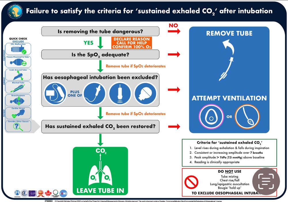 Algorithm to be used if criteria for ‘sustained exhaled carbon dioxide’ aren’t met. Features criteria for sustained exhaled CO2’, instructions not to use clinical signs to exclude oesophageal intubation & prompt to not only remove tube but also ventilate with a facemask or supraglottic airway as the default action if oesophageal intubation cannot be excluded. 