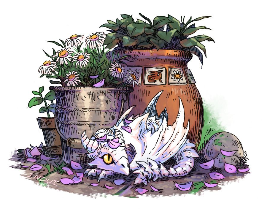 moni-haru-blueskyです Nintendeal: 