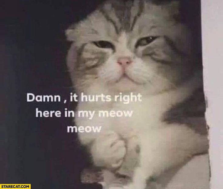 Comment image