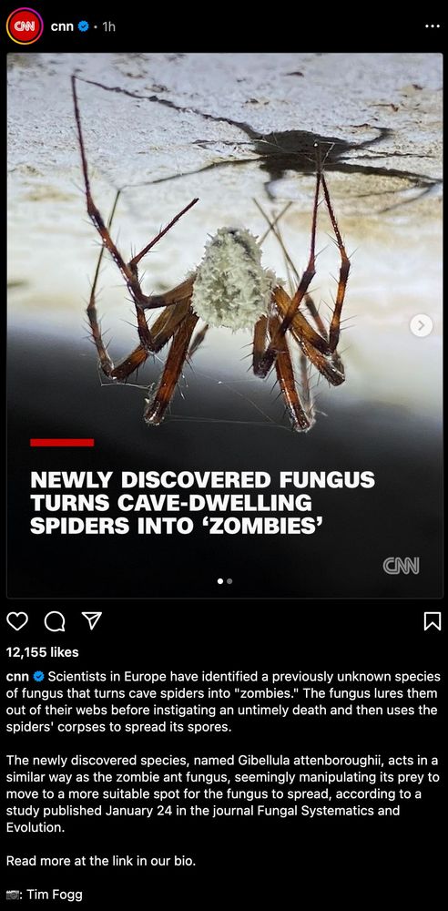 CNN posted on instagram talking about a fungus turns cave spiders into zombies