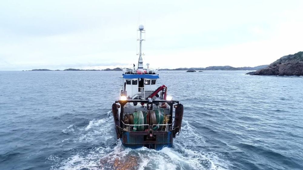 Reagerer på støtte til tråling