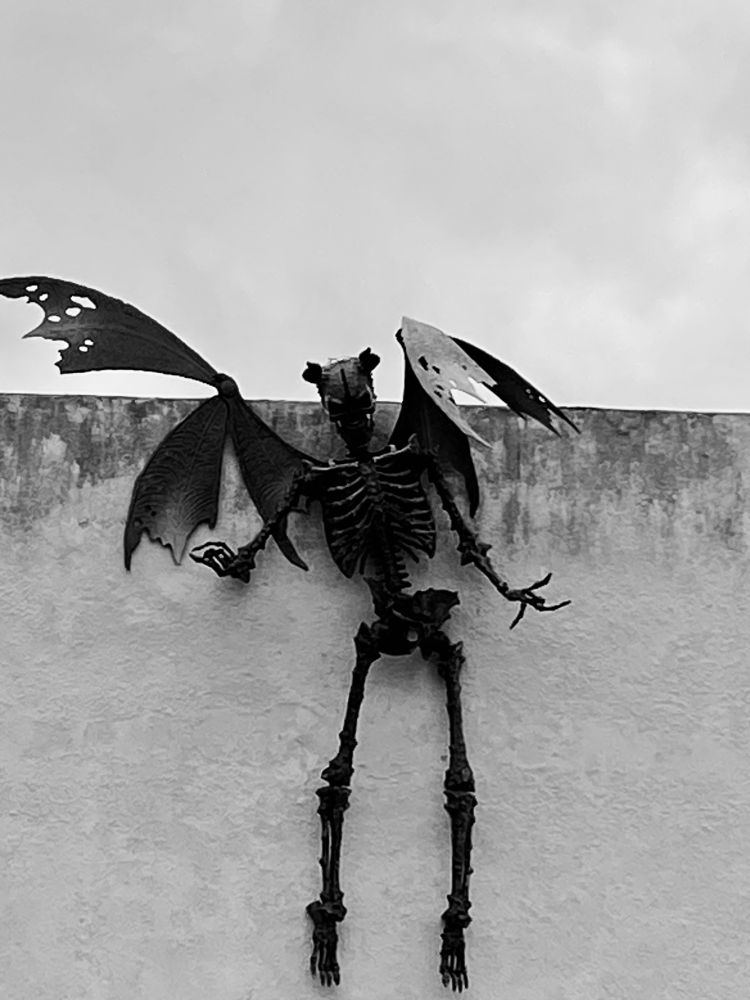 Neighbor’s Halloween themed wall. 