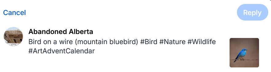 Copy of the BlueSky 'Reply to. . . ' image of a post of a bluebird by the acct 'Abandoned Alberta'. It seems to show the bluebird more to the left third of the image rather than it being closer to the centre. I was struck how much I liked the bluebird being shown closer to the left, making use of 'The Rule of Thirds' that photographers often use.