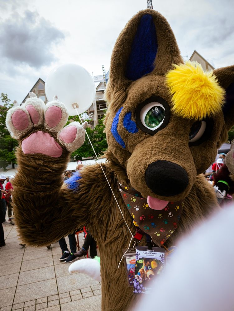 The Fursuiter CydoBearsky waving his paw