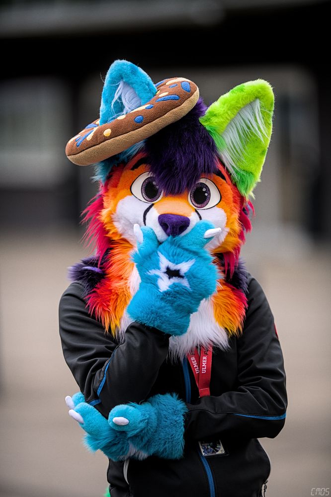 Der Fursuiter Jaro, der eine Nachdenkliche Pose einnimmt, die rechte Pfote an der Schnautze. Über sein rechtes Ohr ist ein Plüsch-Dognut gestülpt.