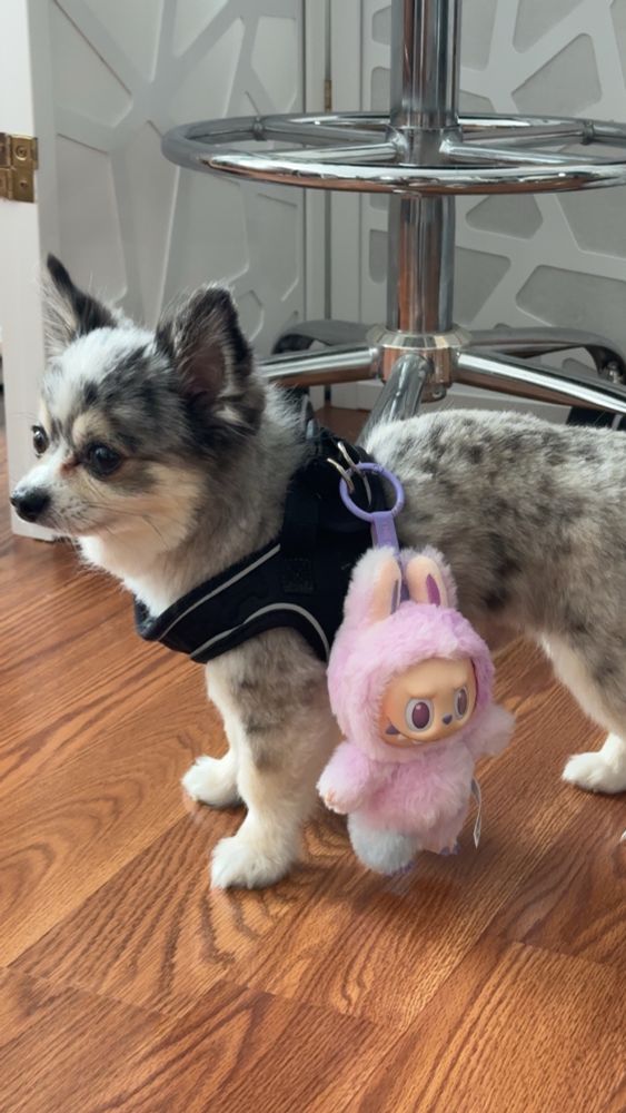 Rupert with the BIE Luck Labubu.