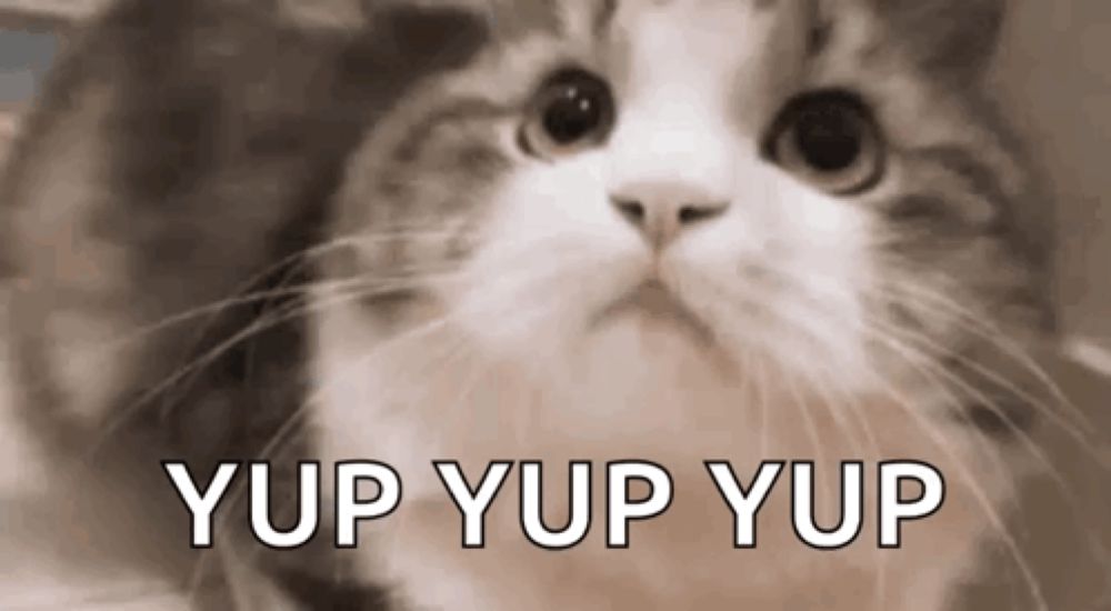 Kitty Yes GIF