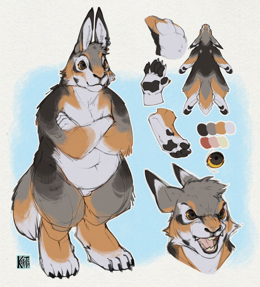 Anthro / Furry Hare/Rabbit/Wolf hybrid reference sheet for a personal character, He's quite spicy and both the bark and the bite hurt. 

Of course He has to have my own piercing and ring, and is a tad chubby too, probably quite short too.
