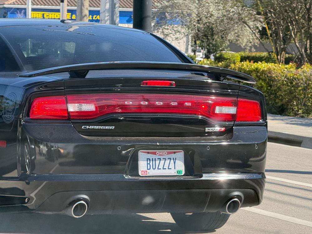 Buzzzy on a license plate
