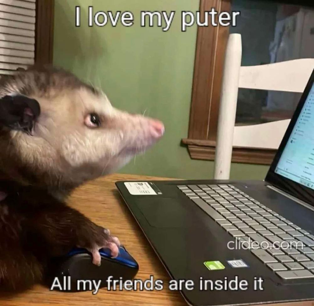 Opossum on a laptop and the caption: “ I love my puter all my friends are inside it “ 