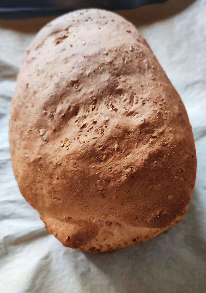 Een foto van een #BruinBrood met bobbelig korst.