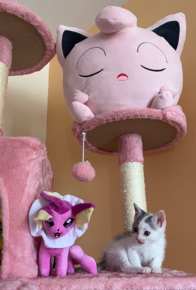 juju, a small grey and white kitten, on a pink cat tree with pink and purple pokemon around her