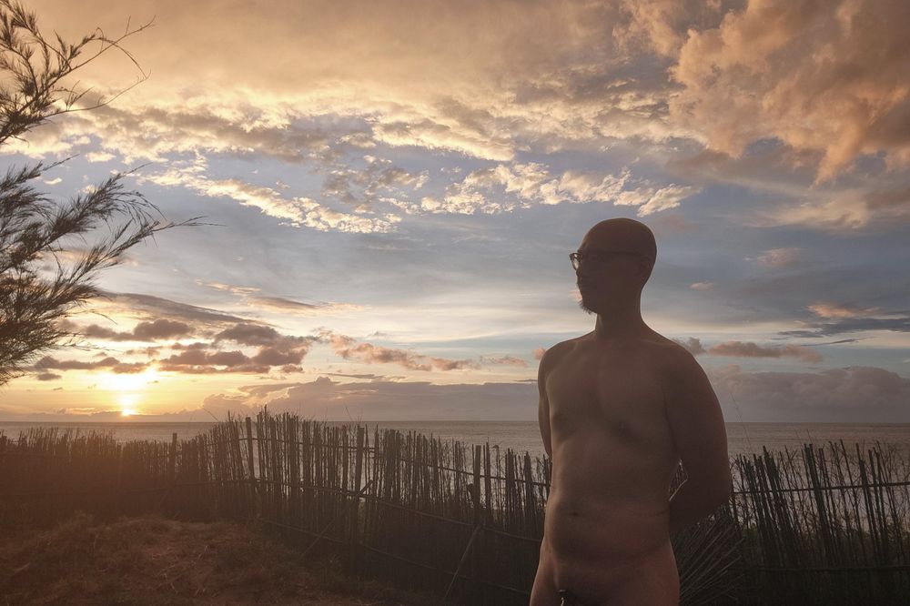 海平線，夕陽，雲朵，沙灘，樹枝，籬笆，裸體