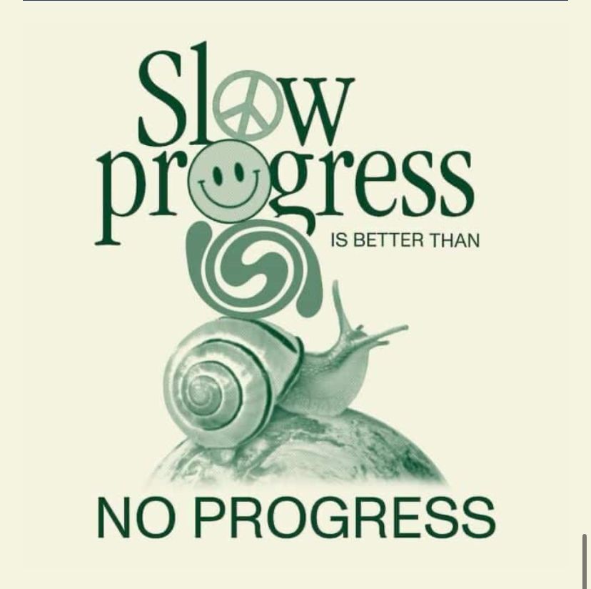Graphic design of a snail with the words:

Slow progress
IS BETTER THAN
NO PROGRESS. 