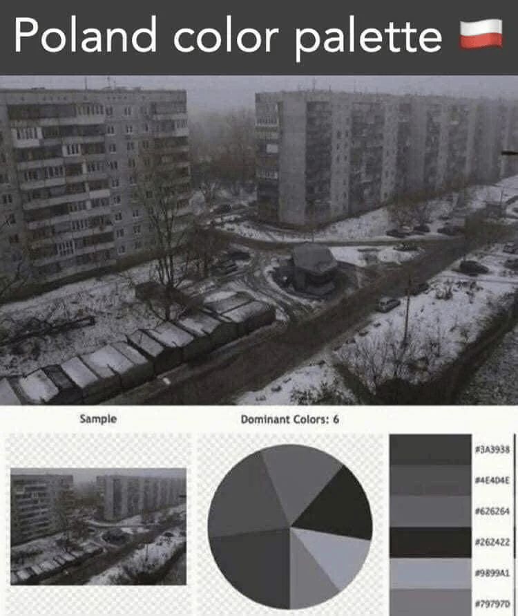 Meme titled “Poland color palette” with a Polish flag emoji. The top image shows a bleak, overcast urban scene with gray Soviet-style apartment blocks, bare trees, snow patches, and a generally desaturated winter atmosphere. Below it is a section labeled “Sample” and “Dominant Colors: 6,” featuring a color wheel and six rectangular swatches of muted grays and dark tones, each with a hex code: #3A3938, #E4E4DE, #626264, #262422, #989A91, #797970. The meme humorously suggests Poland's winter aesthetic consists entirely of grayscale tones.