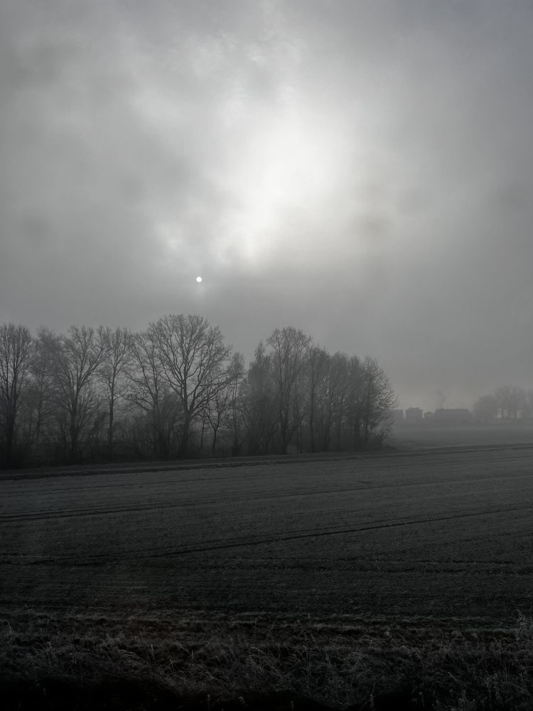 Image shows a flat, frost-covered field with bare trees along the horizon. Sky is overcast with thick gray clouds. A faint sun is visible through the fog. In the distance, a few low buildings are barely discernible through the haze.
