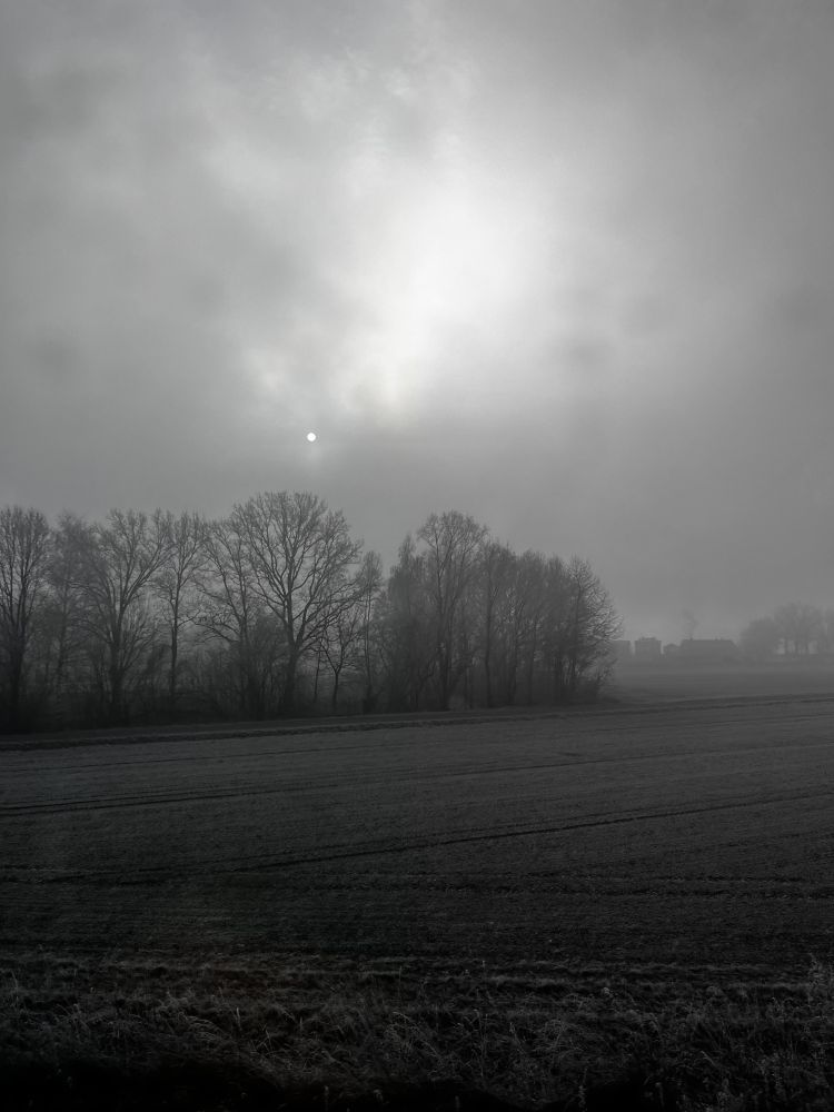 Same photo as in the original post, except the right half has a black and white filter applied. The difference from the colored left half of the photo is very subtle.